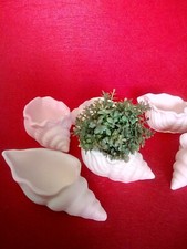  vasetti in gesso ceramico