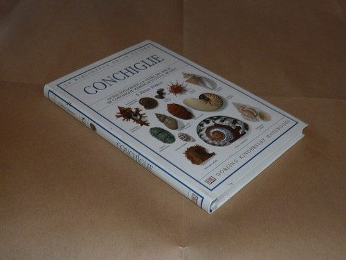 Conchiglie biblioteca - conchiglie,,