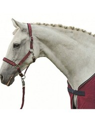 Capezza per cavalli nylon - capezza,