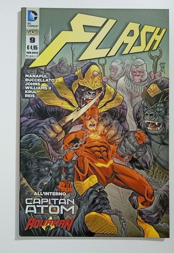 I146678 flash lion 2013 - i146678,
