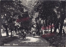 CART. LAZIO ROMA GENZANO