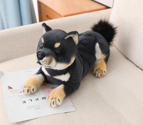 Peluche shiba inu - shiba,