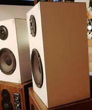 CASSE 2 VIE HI-FI 100 WATTS  dal suono potente e dettagliato modello unico