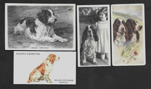 Lotto diverse carte - diverse, vintage
