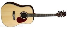 Guitare Acoustique Cort Earth