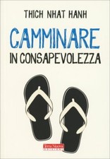 LIBRO CAMMINARE IN
