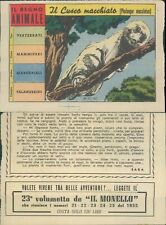 R@R@ FIGURINA DEL REGNO