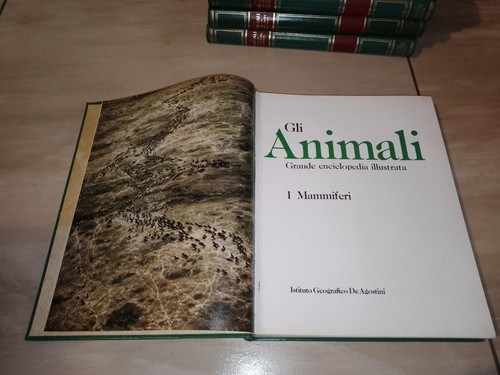 Gli animali grande - gli, animali.