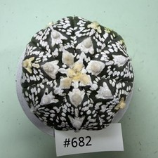 Prezzo di vendita flash Cacti