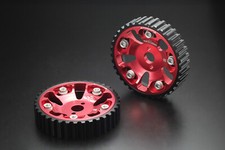 Ingranaggio a camme regolabile