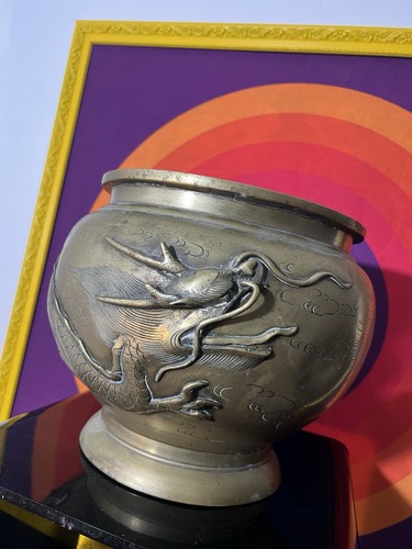 Antico vaso bonsai pianta