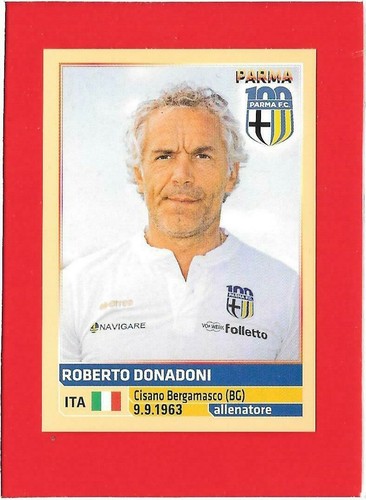 Calciatori 2013 2014 panini - calciatori,
