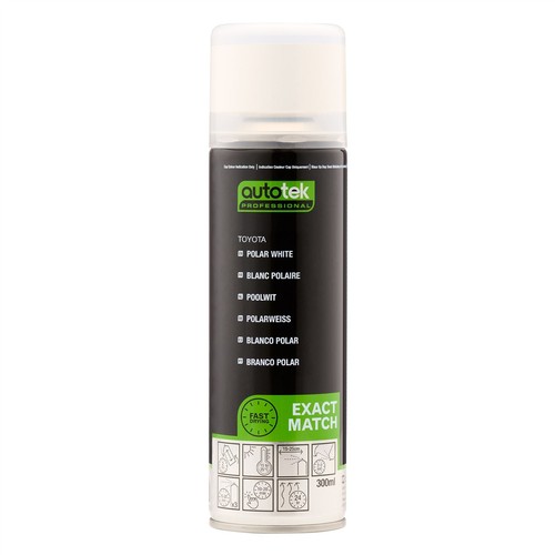 Vernice spray aerosol