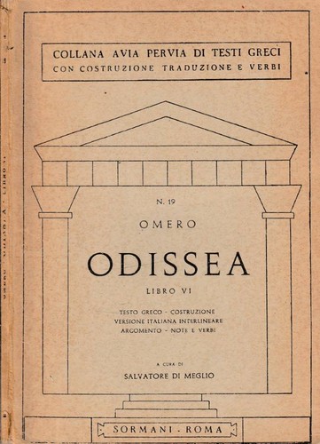 Odissea libro omero - odissea, vi.