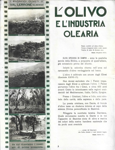 Depliant olivo industria - olivo,