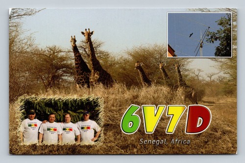 Radioamatore qsl 6v7d senegal - qsl,