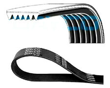 CINGHIA AUSILIARE POLY V