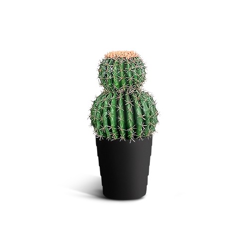 Ivoq cactus artificiale cm - artificiale,