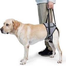 Pettorina Morbida Regolabile