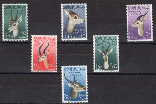Somalia afis 1955 animali - somalia,