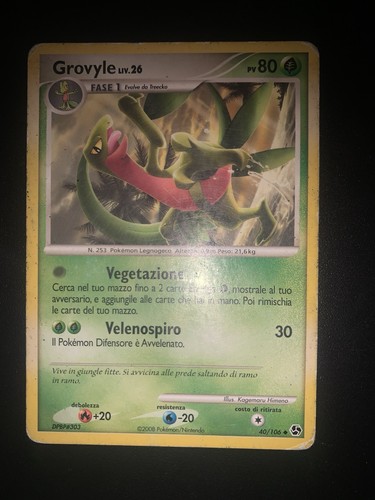 Carta pokemon grovyle incontri - pokemon,