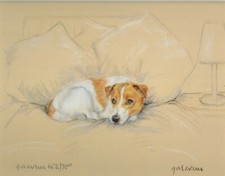 Stampa cane Jack Russel