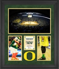 Anatre Matteo Cavaliere Arena