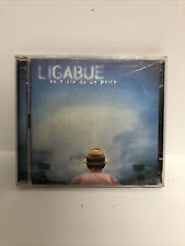 Ligabue Su E Giù Da Un Palco