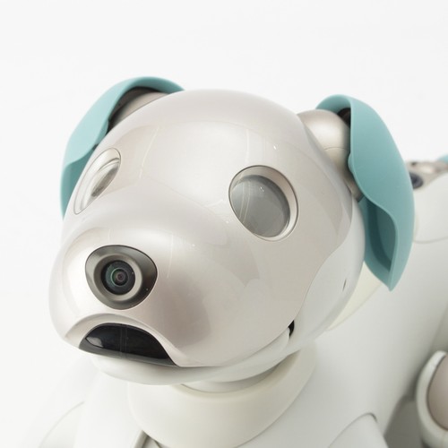 Sony aibo ers 1000 robot - sony, dog
