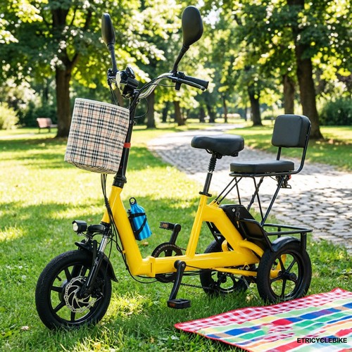 Bicicletta elettrica 48v - bicicletta,