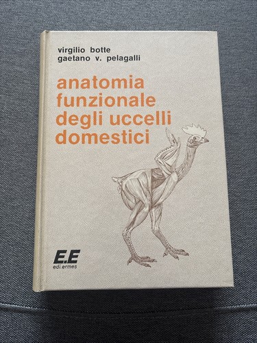 Anatomia funzionale degli - anatomia,
