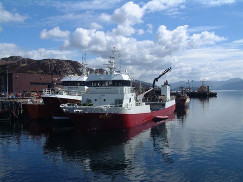 Photo 6x4 fishing boats - photo,