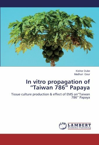 Vitro propagation taiwan - propagation, of