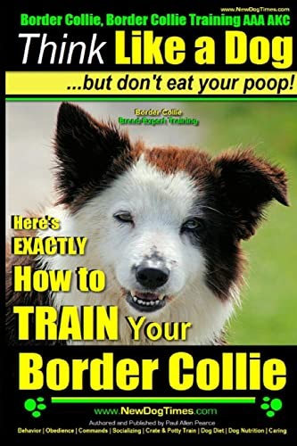 Border collie - border,
