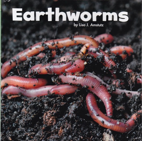 Earthworms children learning - children's,