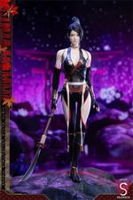 SWTOYS FS076 Ninja Gaiden