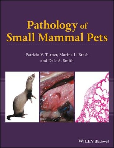 Pathology small mammal pets - of,