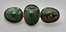 Spilla scarabeo scarabeo verde vintage epoca '20 revival egiziano "reale" COSÌ COM'È
