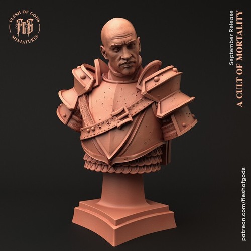 Busto cavaliere signore - cavaliere, di
