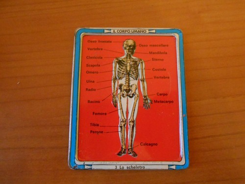Gadget corpo umano - gadget-il,
