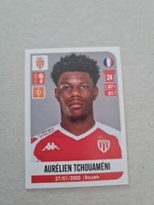 Panini foot 2020 - foot,