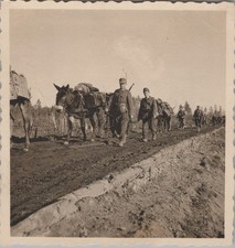 Foto, Wehrmacht, fronte Narwa