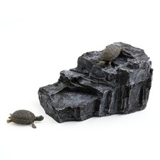 Acquario paesaggio di roccia