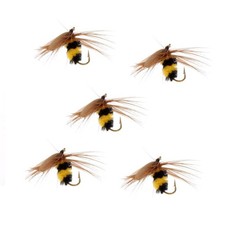 Pezzi bumble bee - bumble, trota