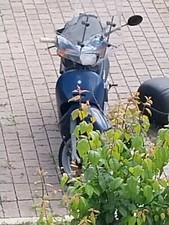 motorino 50cc usato Piaggio Free 50 Anno 1998 Fatta Sella Nuova E Accessoriato