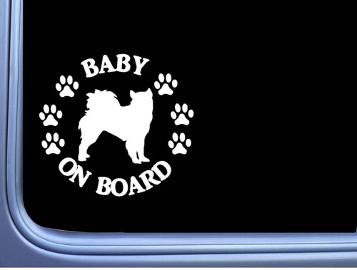 Baby board alaskan malamute - baby, on