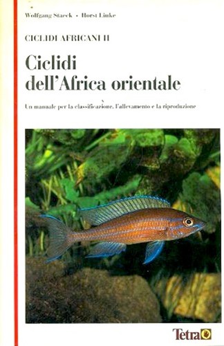 Ciclidi dell africa - ciclidi, orientale