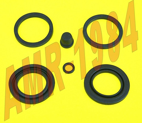 Kit revisione pinza freno - pinza,