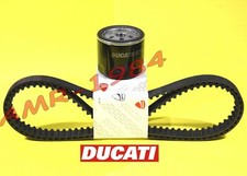 CINGHIE DISTRIBUZIONE