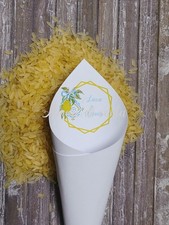 100 coni porta riso confetti